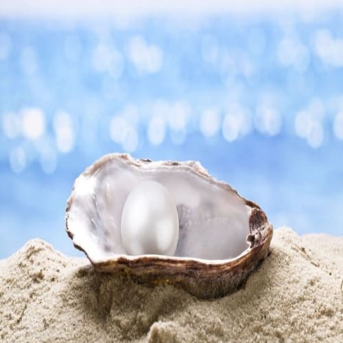 BUSQUEMOS PERLAS ESCONDIDAS, Semana del 9 al 15 de Enero del 2023, 2